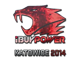 iBUYPOWER Katowice 2014
